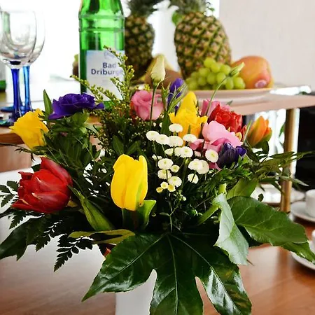 Haus Rasche 3*